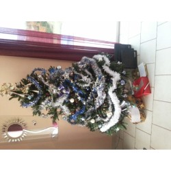 202511101450-20131225_113445