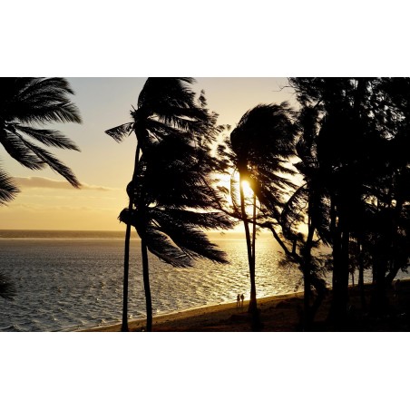 newprodmy8nov25-photo2